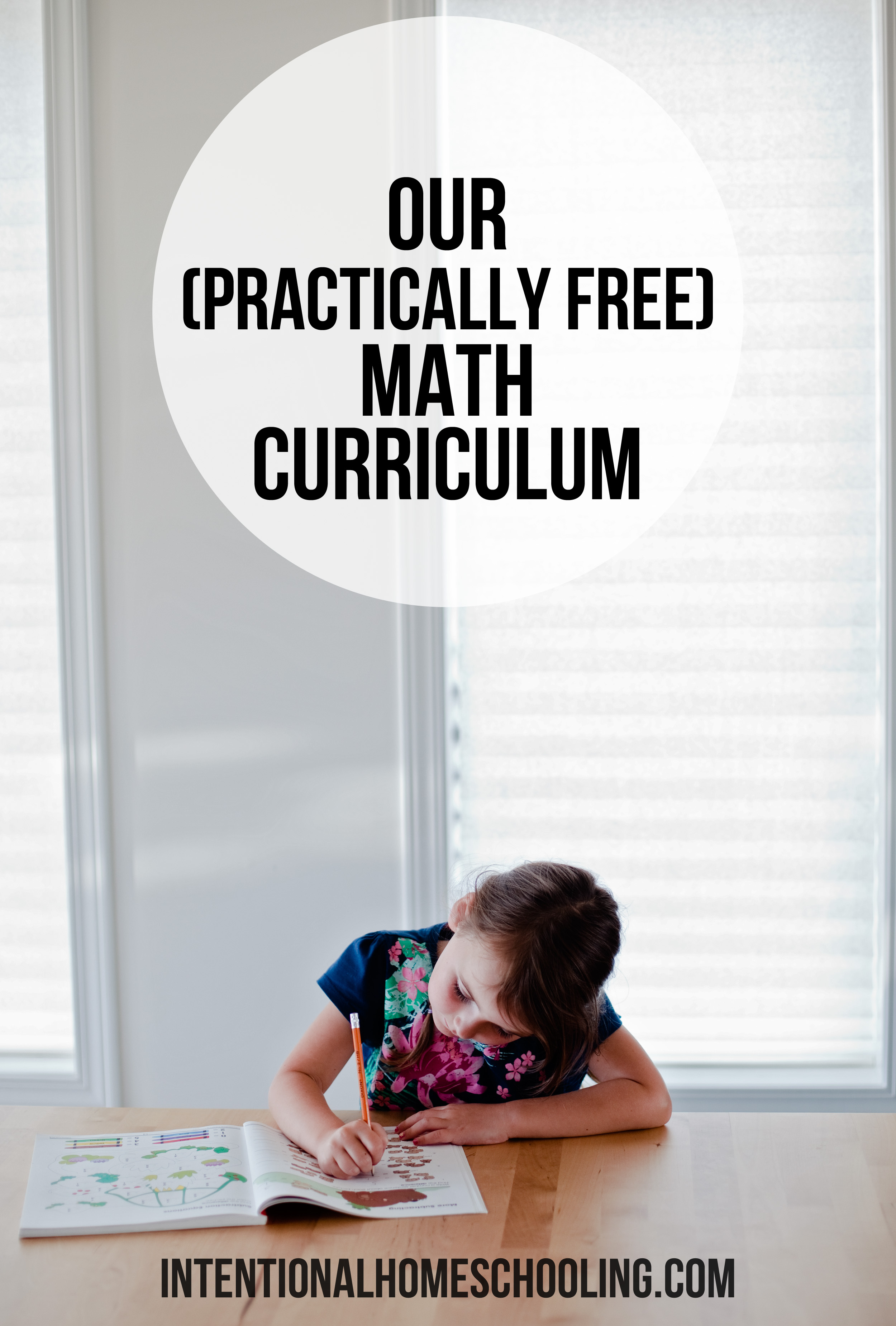 A break down on our practically free ($3) math curriculum for grade 1 math (but easy to adapt to all grades).