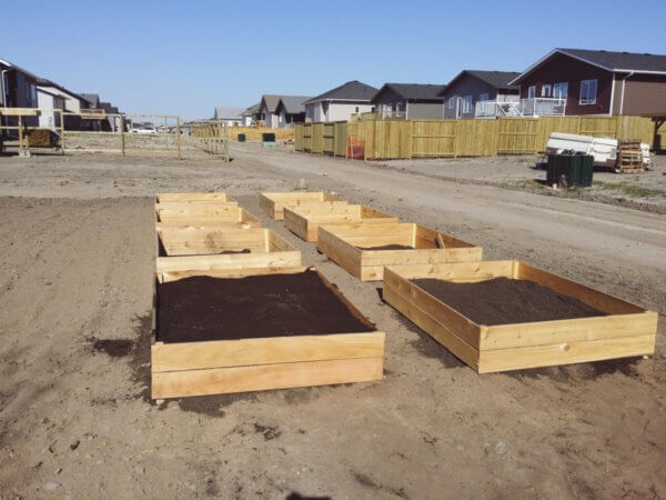 Square foot backyard gardening in a small-ish space.