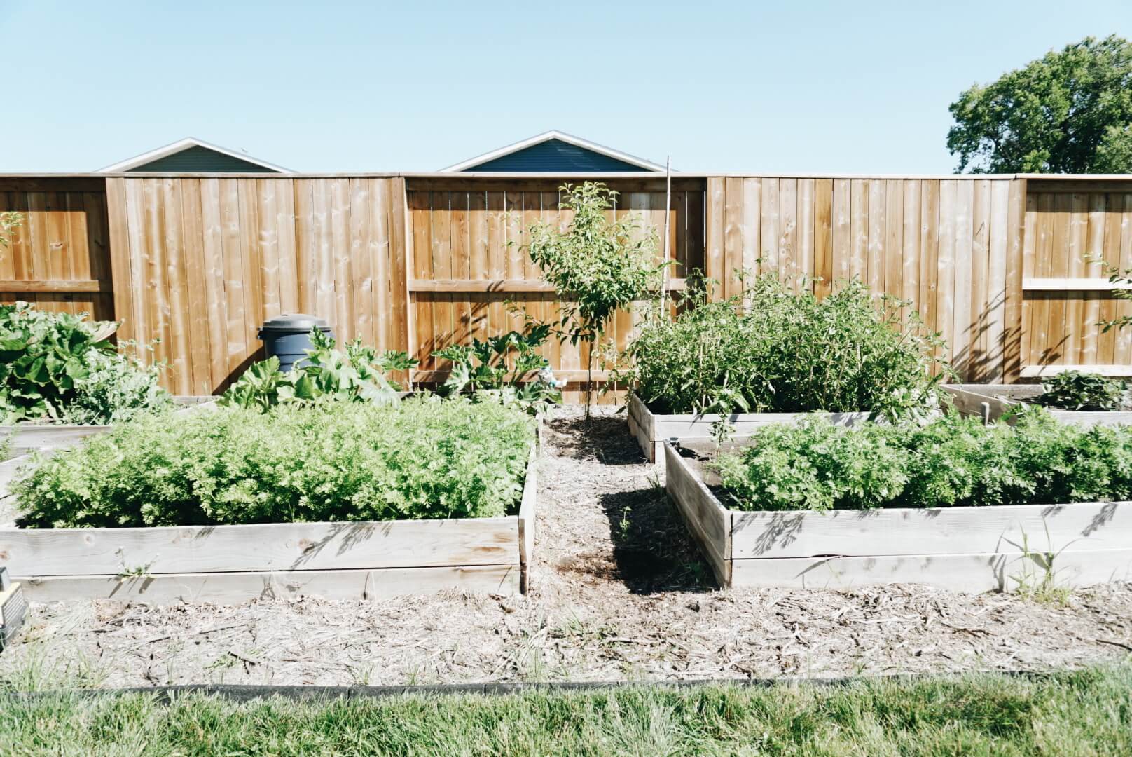 Square foot backyard gardening in a small-ish space.