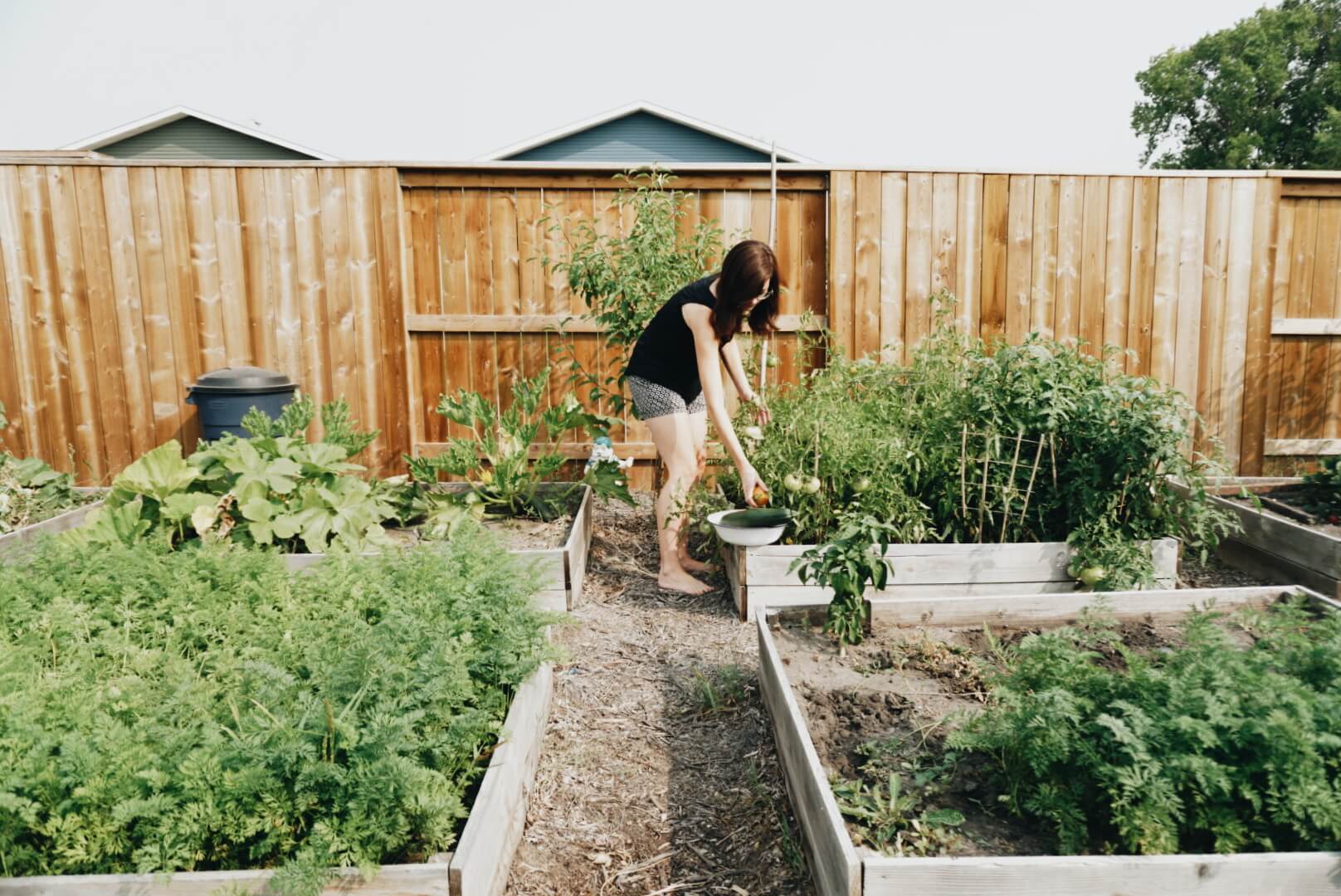 Square foot backyard gardening in a small-ish space.