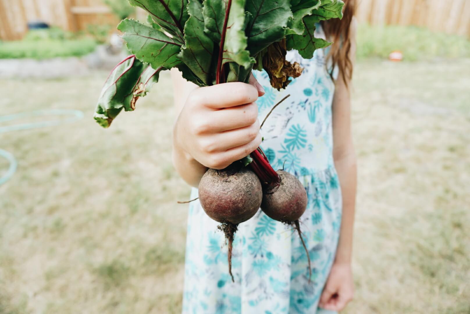 Square foot backyard gardening in a small-ish space.