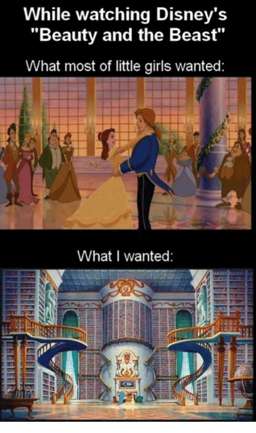 The Best Book and Library Memes for Reading Lovers and Bookworms