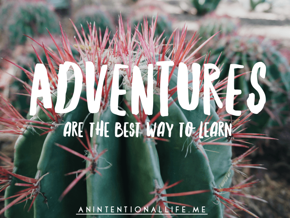 adventures are the best way to learn