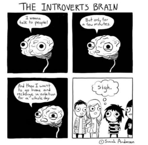 Introvert Memes - Letting You Know You Aren't Alone Even Though You Want to Be