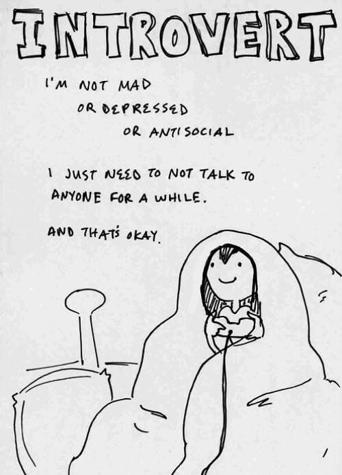 Introvert Memes - Letting You Know You Aren't Alone Even Though You Want to Be