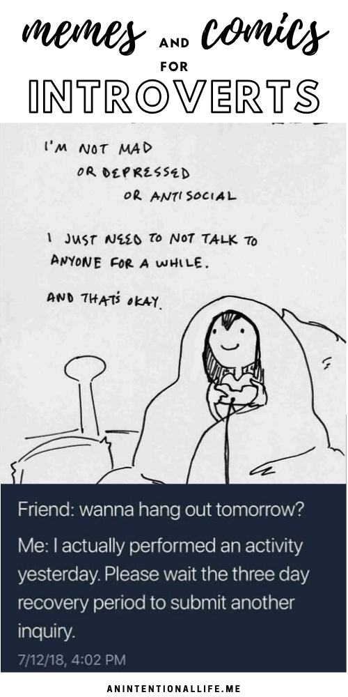 Introvert Memes - Letting You Know You Aren't Alone Even Though You Want to Be