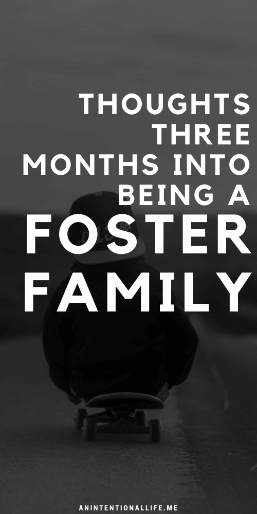 Three Months Into Fostering: The Good and the Hard