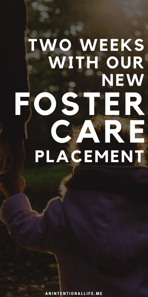 Foster Family Life - What Life Looks Like Two Weeks into a New Placement