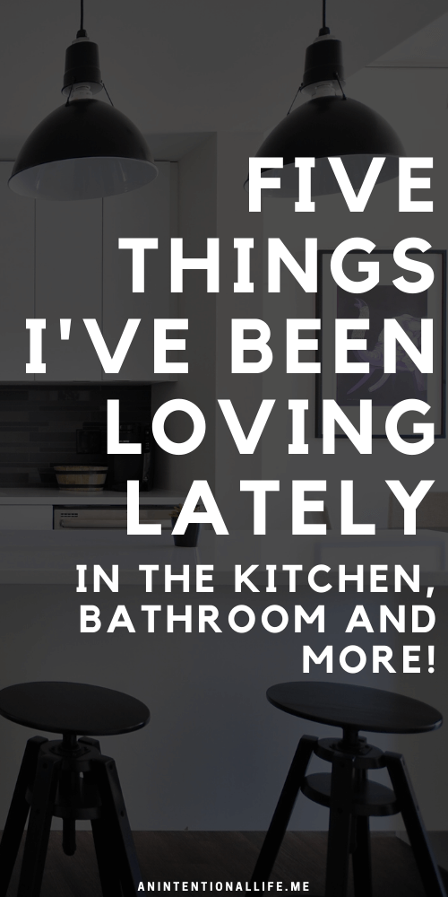 Five Things I'm Loving Lately - air fryer, GroClock, Book Outlet and more!
