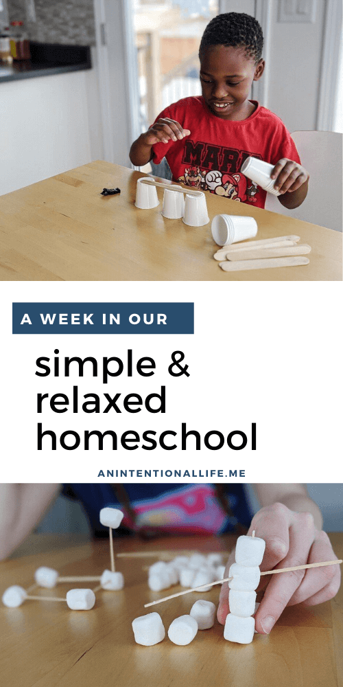 A Peek Inside Our Simple and Relaxed Homeschool Week - Unschooling