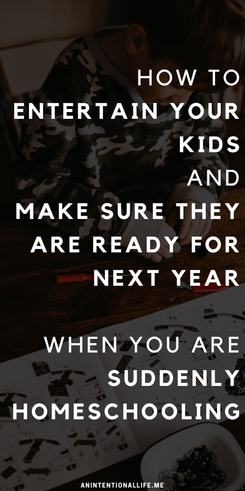 How to Entertain Your Kids and Make Sure They Are Ready for Next Year when you are Suddenly Homeschooling