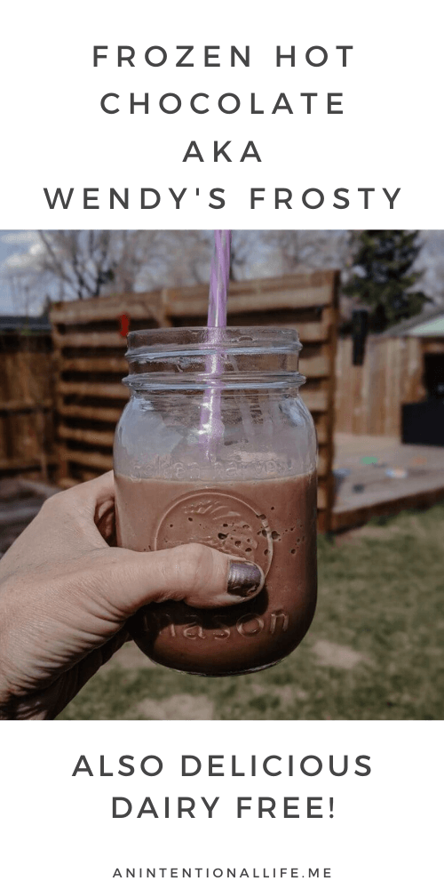 Frozen Hot Chocolate that tastes just like Wendy's Style Frosty and is dairy free!