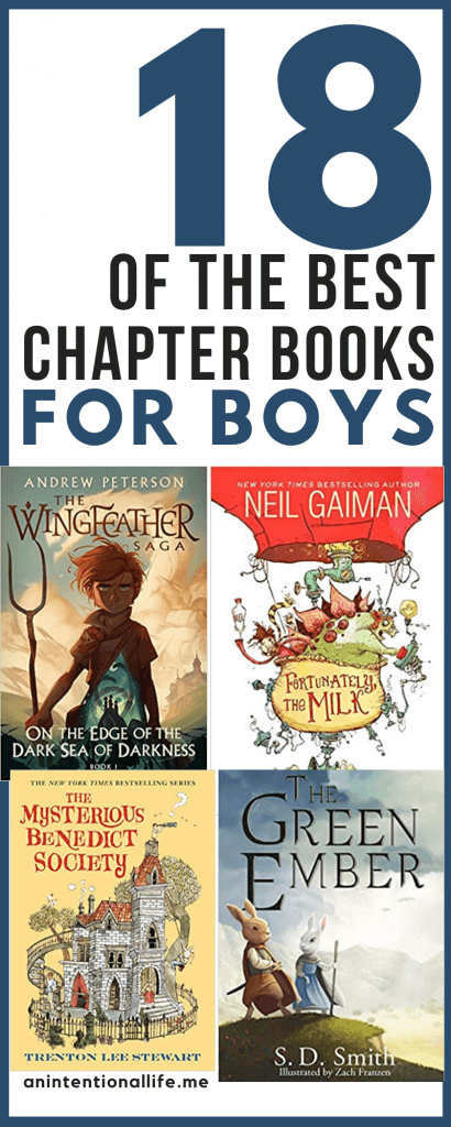 The Best Chapter Books for Boys - Great Novels for Elementary Boys - funny and serious novels for boys