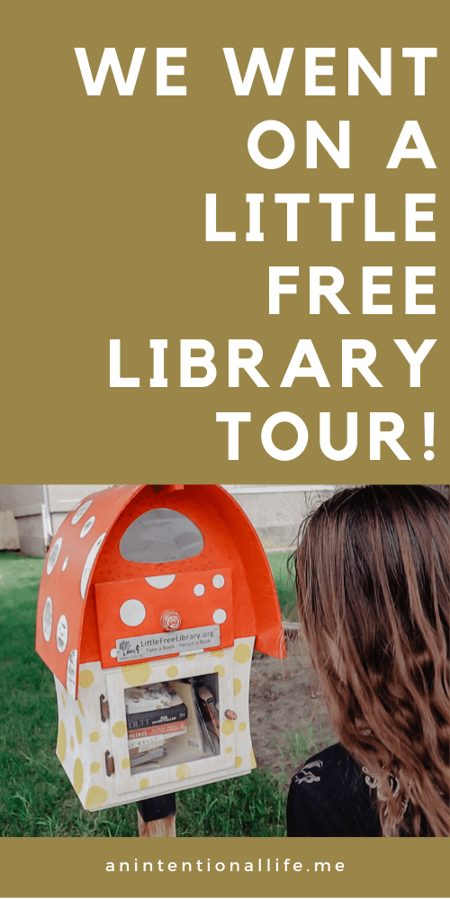Little Free Library Tour and Book Haul