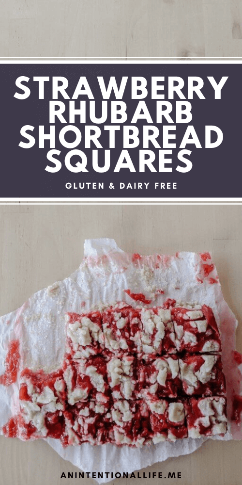 Strawberry Rhubarb Shortbread Squares - dairy free and gluten free!