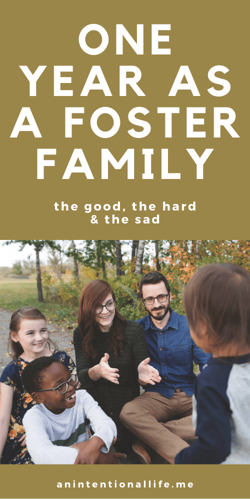 One Year Fostering Update - our experiences our first year as a foster family