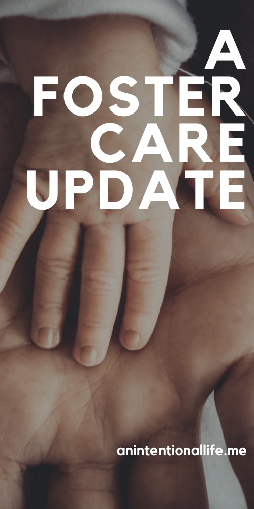 Foster Care Update and The Best Fiction Foster Care Middle Grade Books