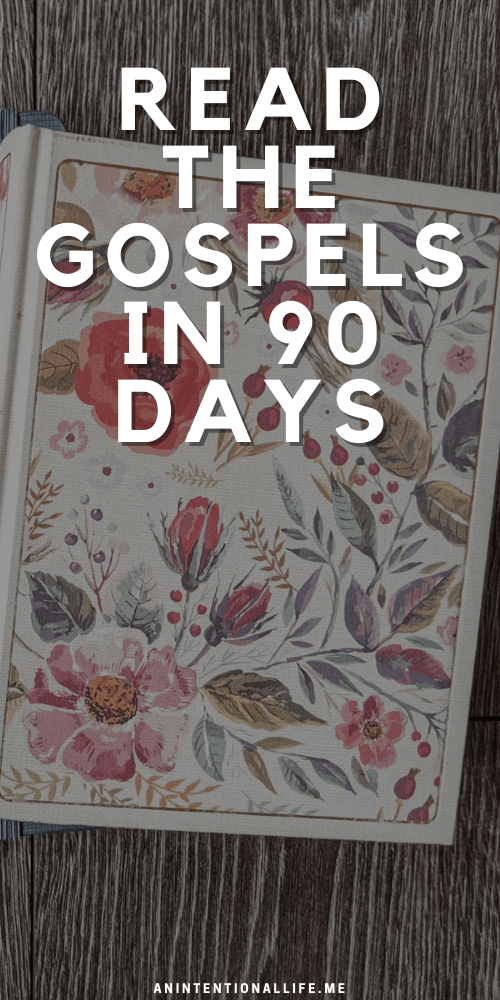 Fall Bible Reading Challenge - Reading the Gospel in 90 Days