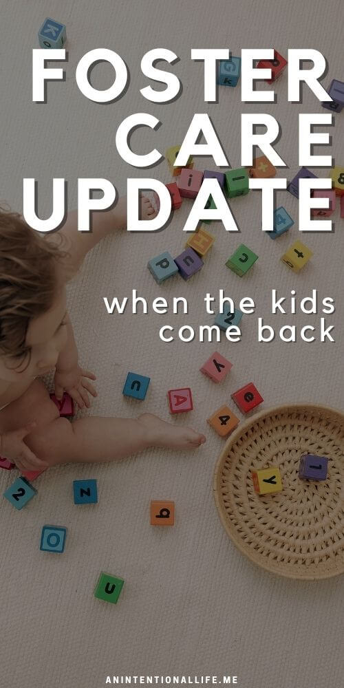 Foster Care Journey Update - When the kids come back