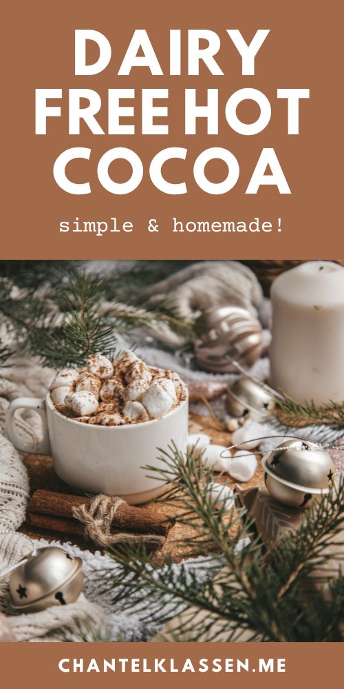 The Best Homemade Dairy Free Vegan Hot Cocoa