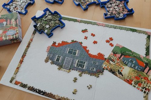 Flow Puzzle